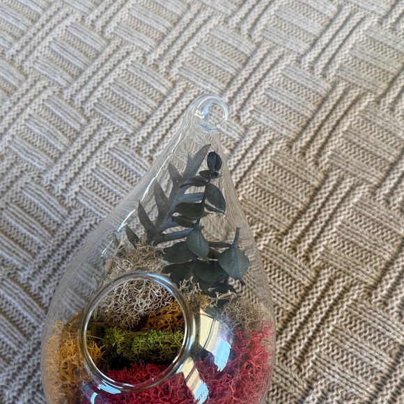 Glass Teardrop Hanging Terrarium with Red, Yellow, and Green Moss - Picture 6 of 10